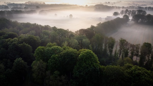 dji hdr bewerkt
