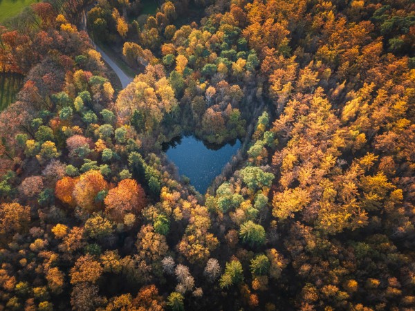 dji hdr bewerkt